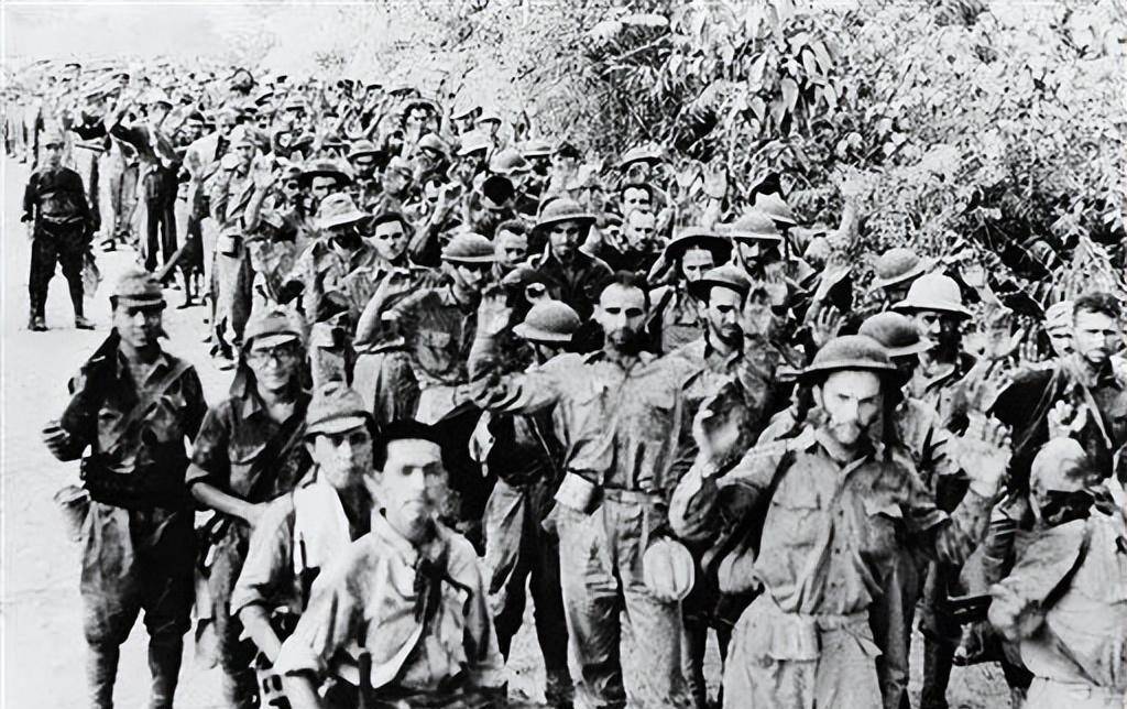 明尼苏达森林狼迎法国杯关键赛，冲刺阶段战术微调，赛场秩序良好，赛程密集仍需轮换的简单介绍